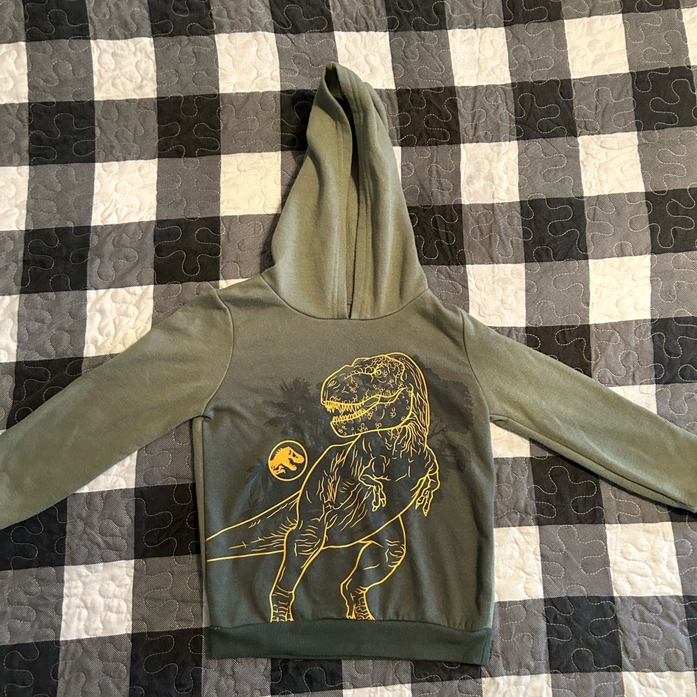 Dino sweatshirt